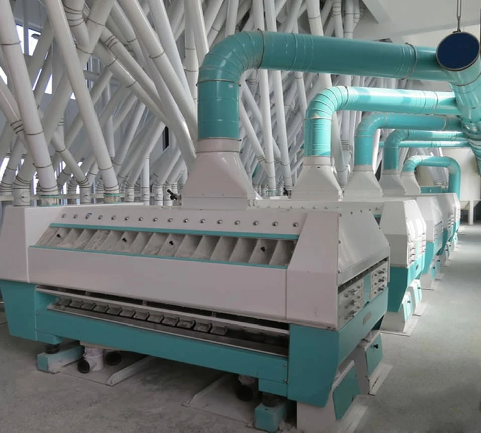 300 tpd modern wheat flour plant
